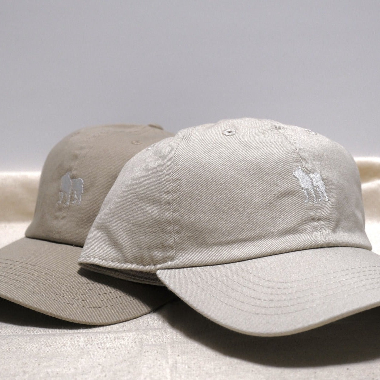 Cotton cap with Shiba Inu one-point embroidery
