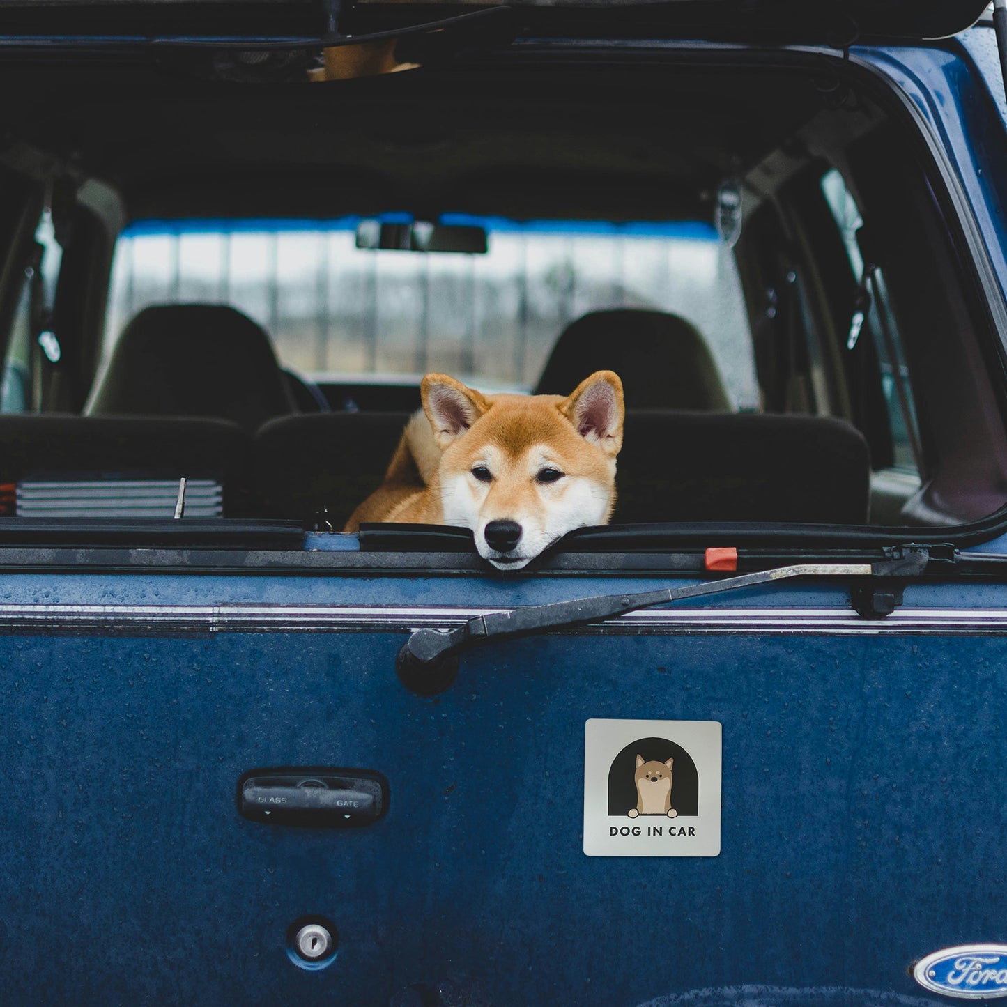 DOG in CAR ステッカータイプ/マグネットタイプ