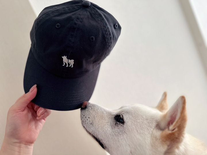 Cotton cap with Shiba Inu one-point embroidery