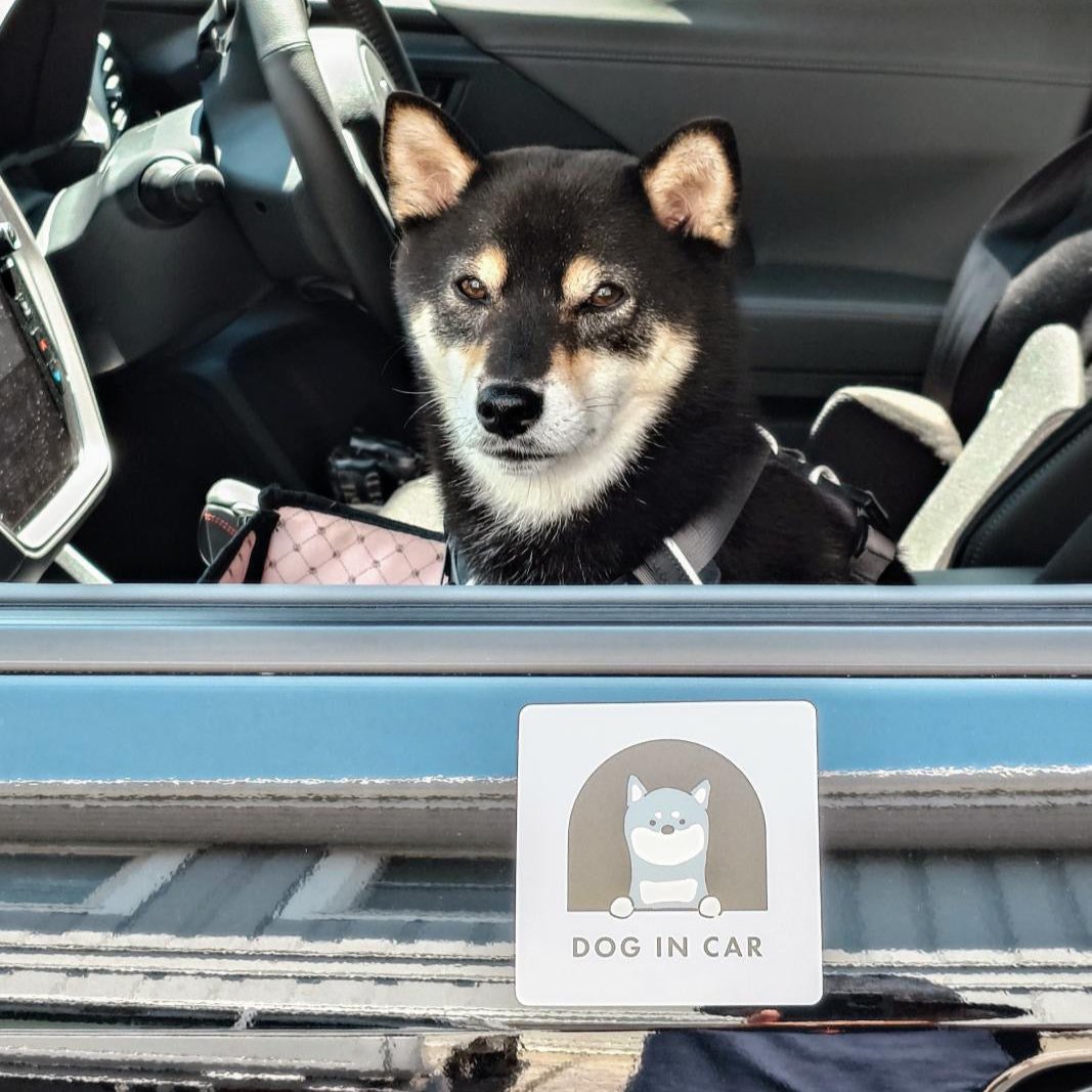 DOG in CAR ステッカータイプ/マグネットタイプ